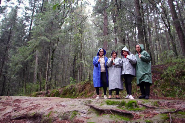 Proyecta Sectur arribo de 111 mil visitantes a festival de la luciérnaga